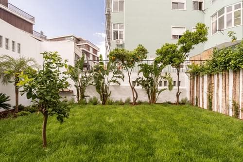 PF40174 - Apartamento T2 + 1 com jardim, Graça, Lisboa - Imagem 8
