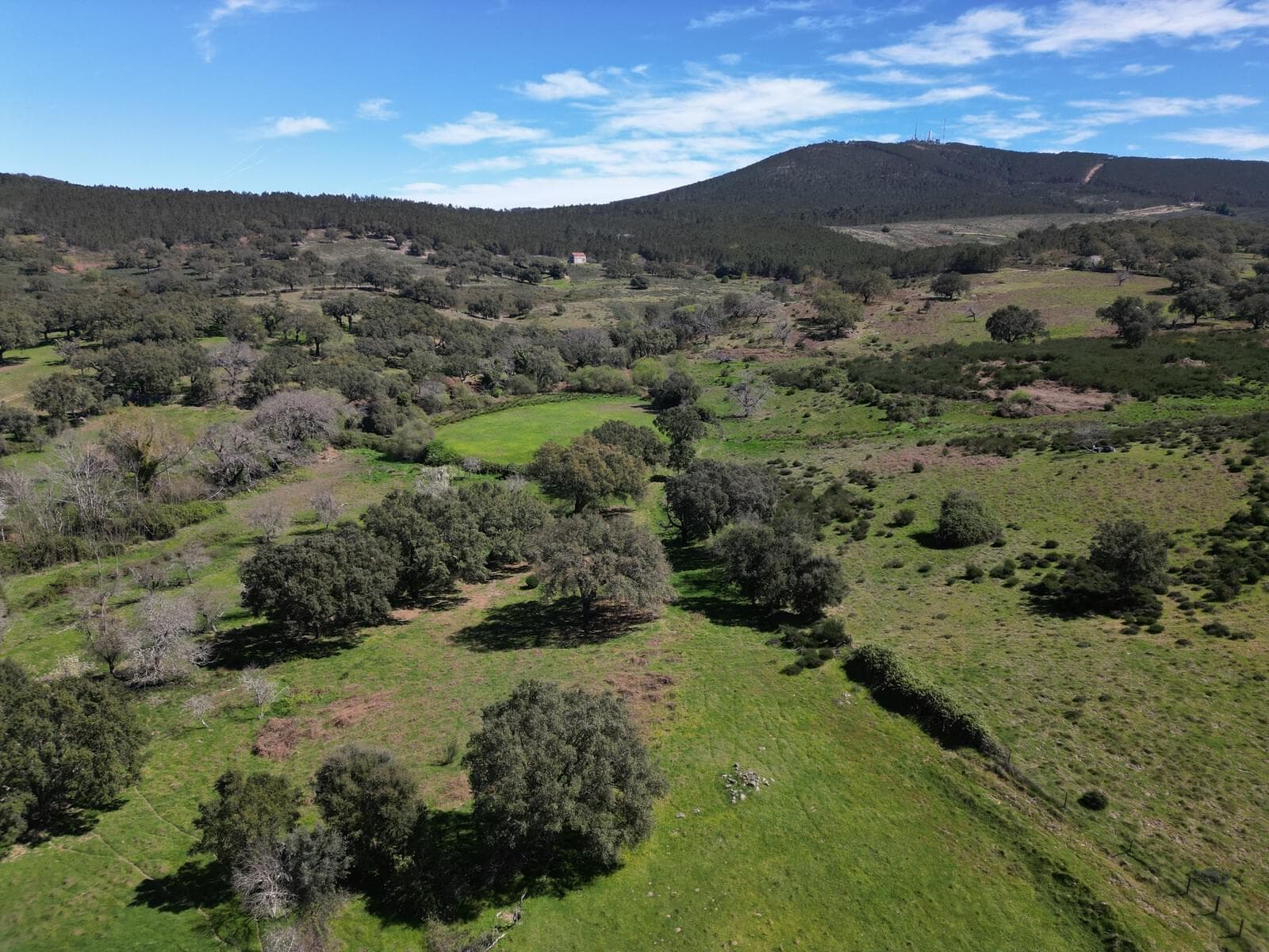 Quinta 103.2 ha, Portalegre - Imagem 23