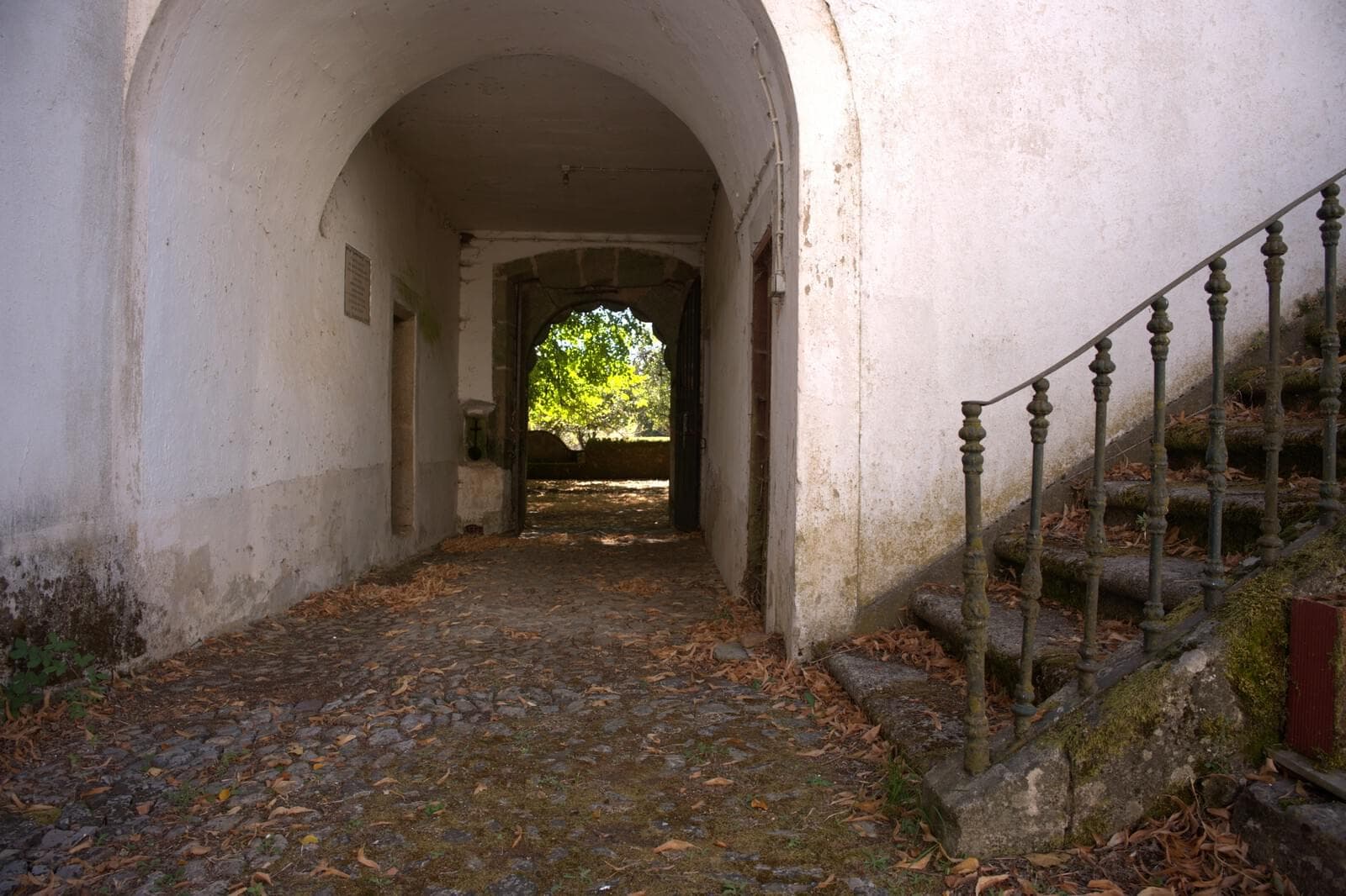 Quinta 103.2 ha, Portalegre - Imagem 24