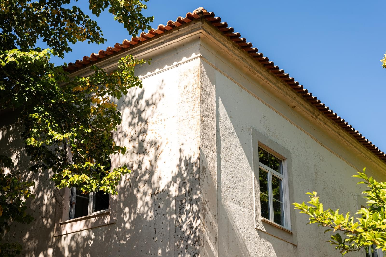 Quinta 103.2 ha, Portalegre - Imagem 31