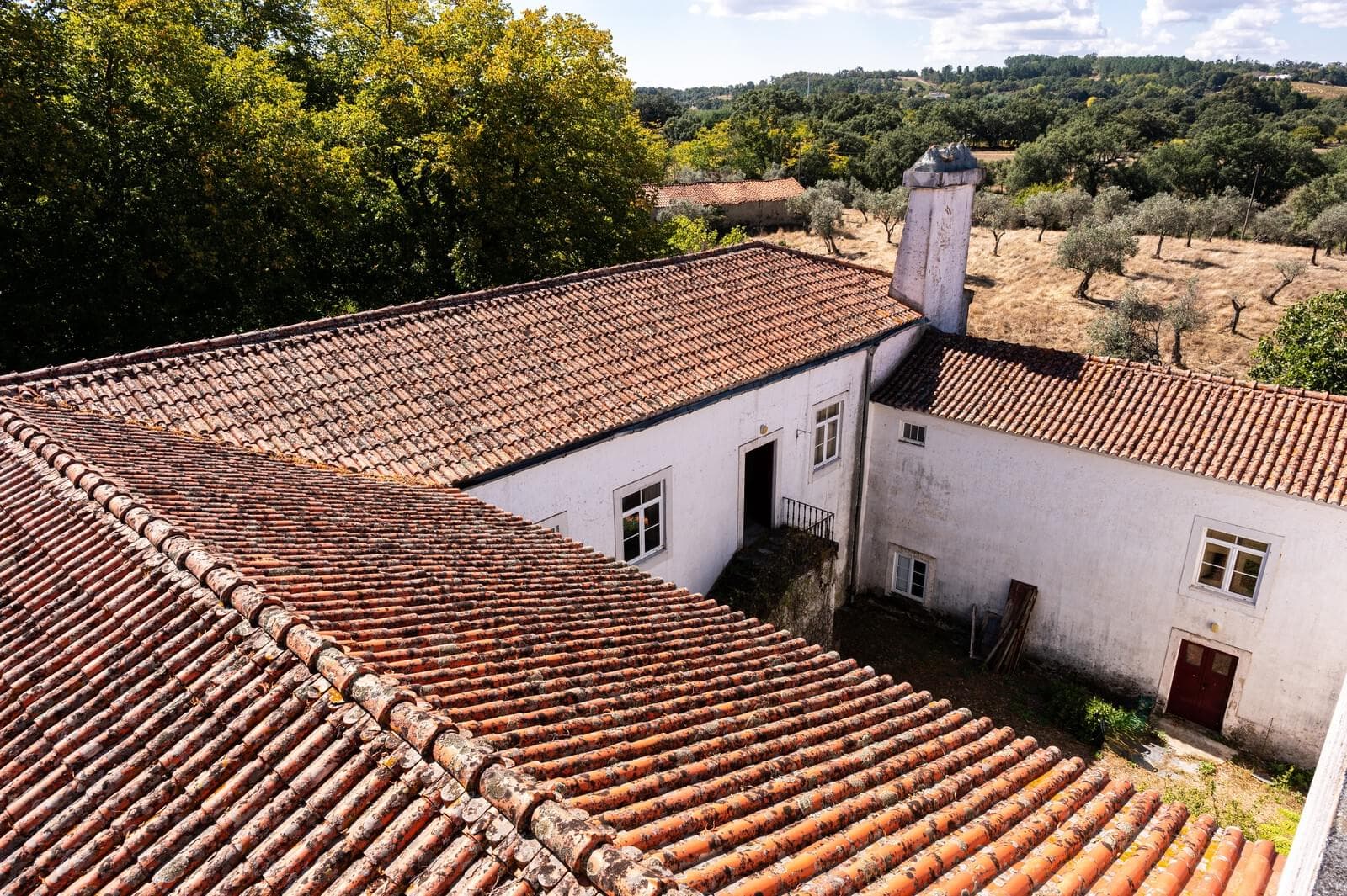 Quinta 103.2 ha, Portalegre - Imagem 9