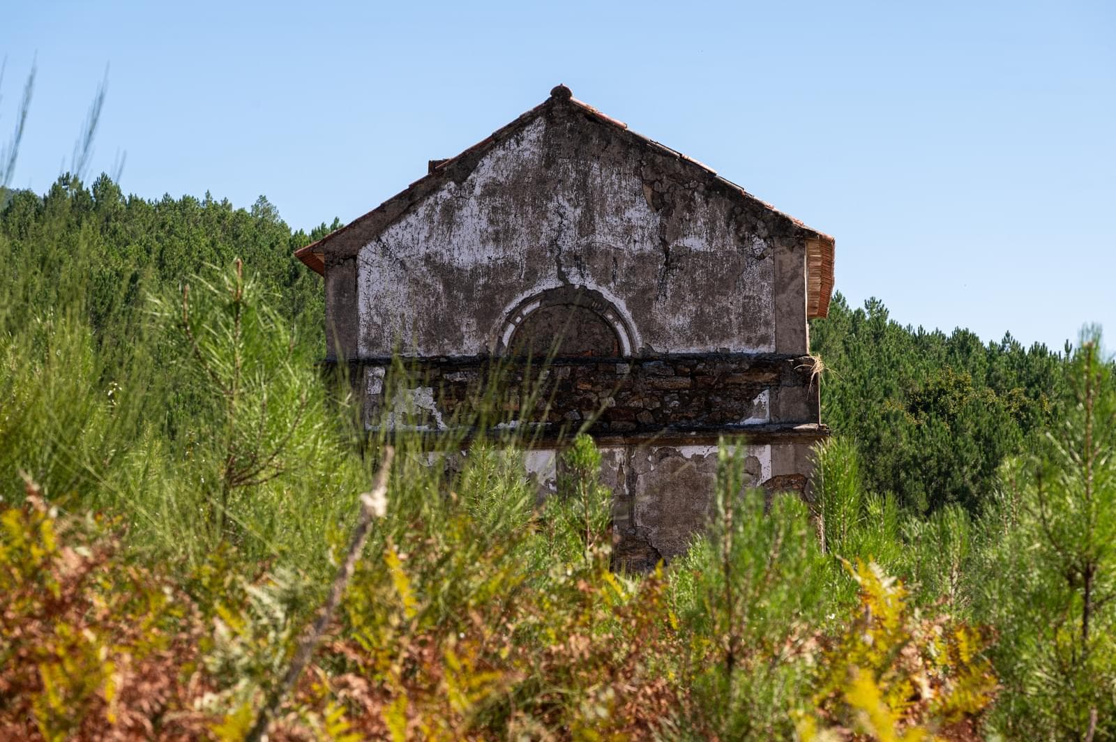 Quinta 103.2 ha, Portalegre - Imagem 26