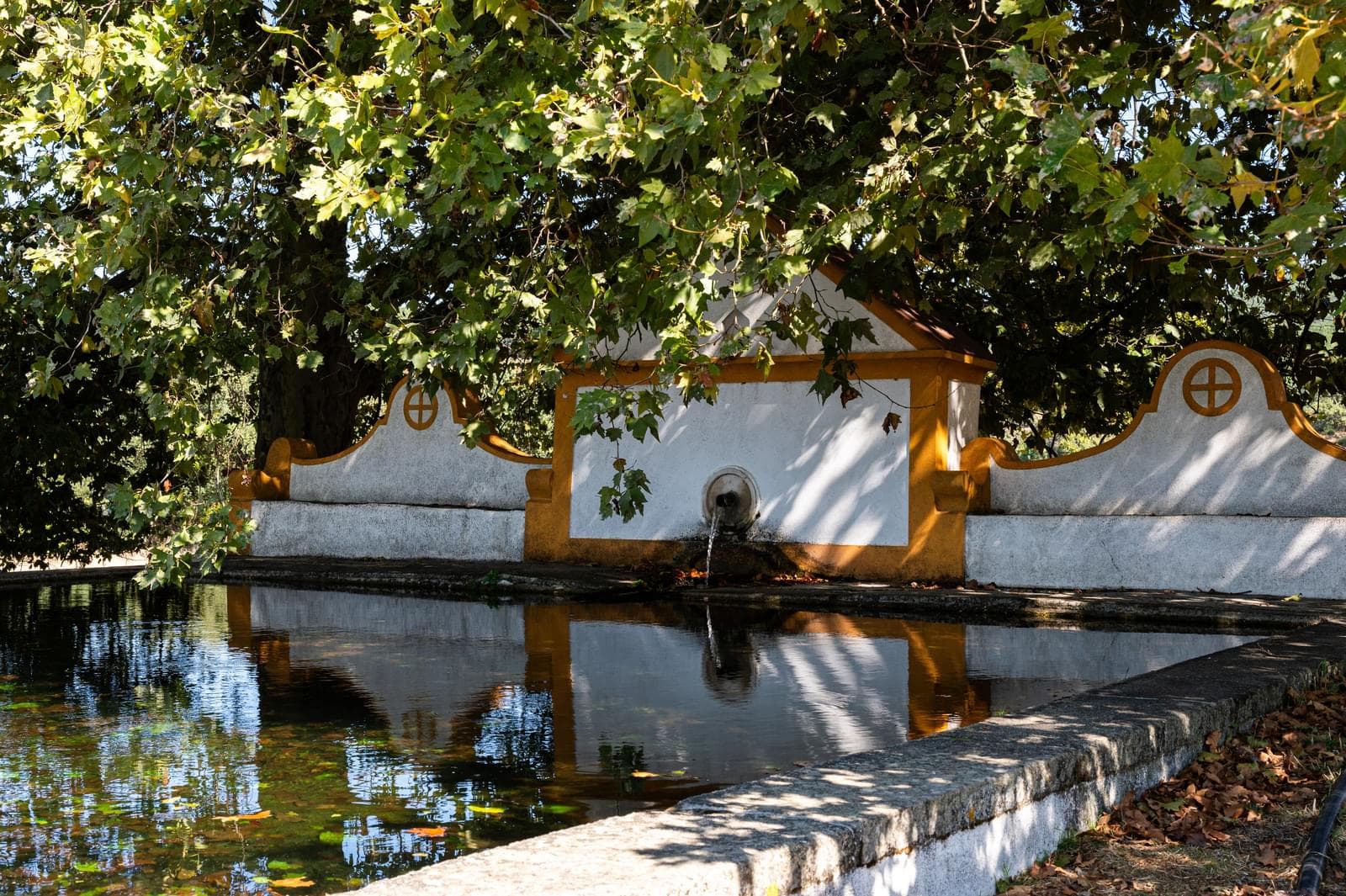 Quinta 103.2 ha, Portalegre - Imagem 15