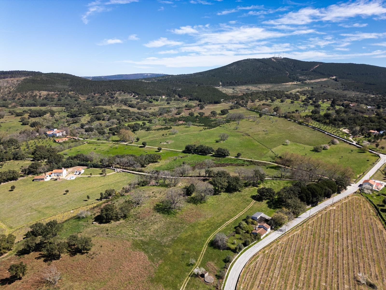 Quinta 103.2 ha, Portalegre - Imagem 18