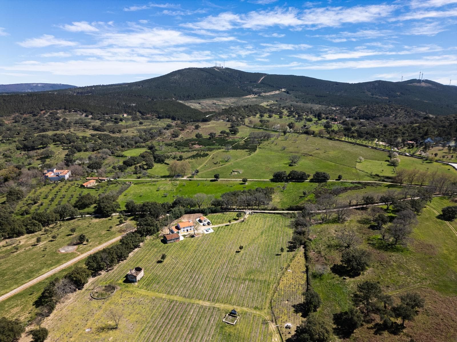 Quinta 103.2 ha, Portalegre - Imagem 19