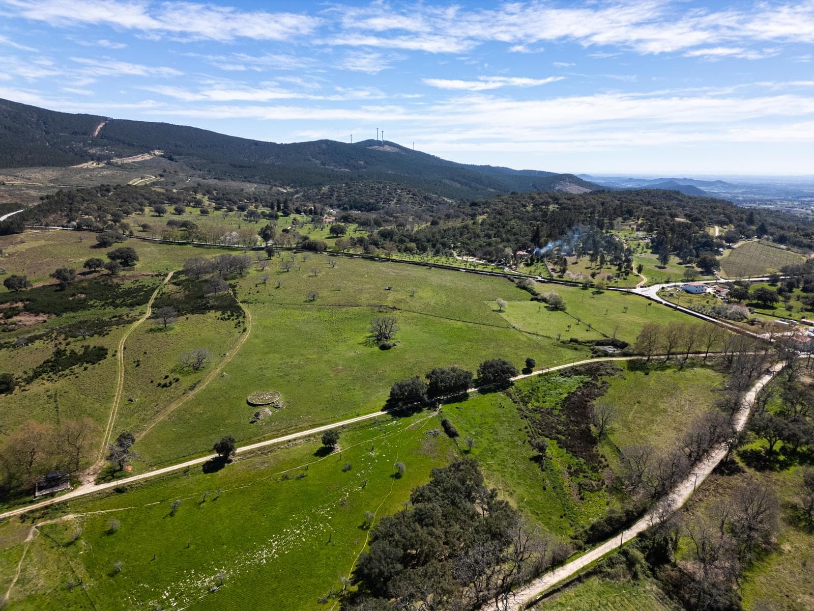 Quinta 103.2 ha, Portalegre - Imagem 21