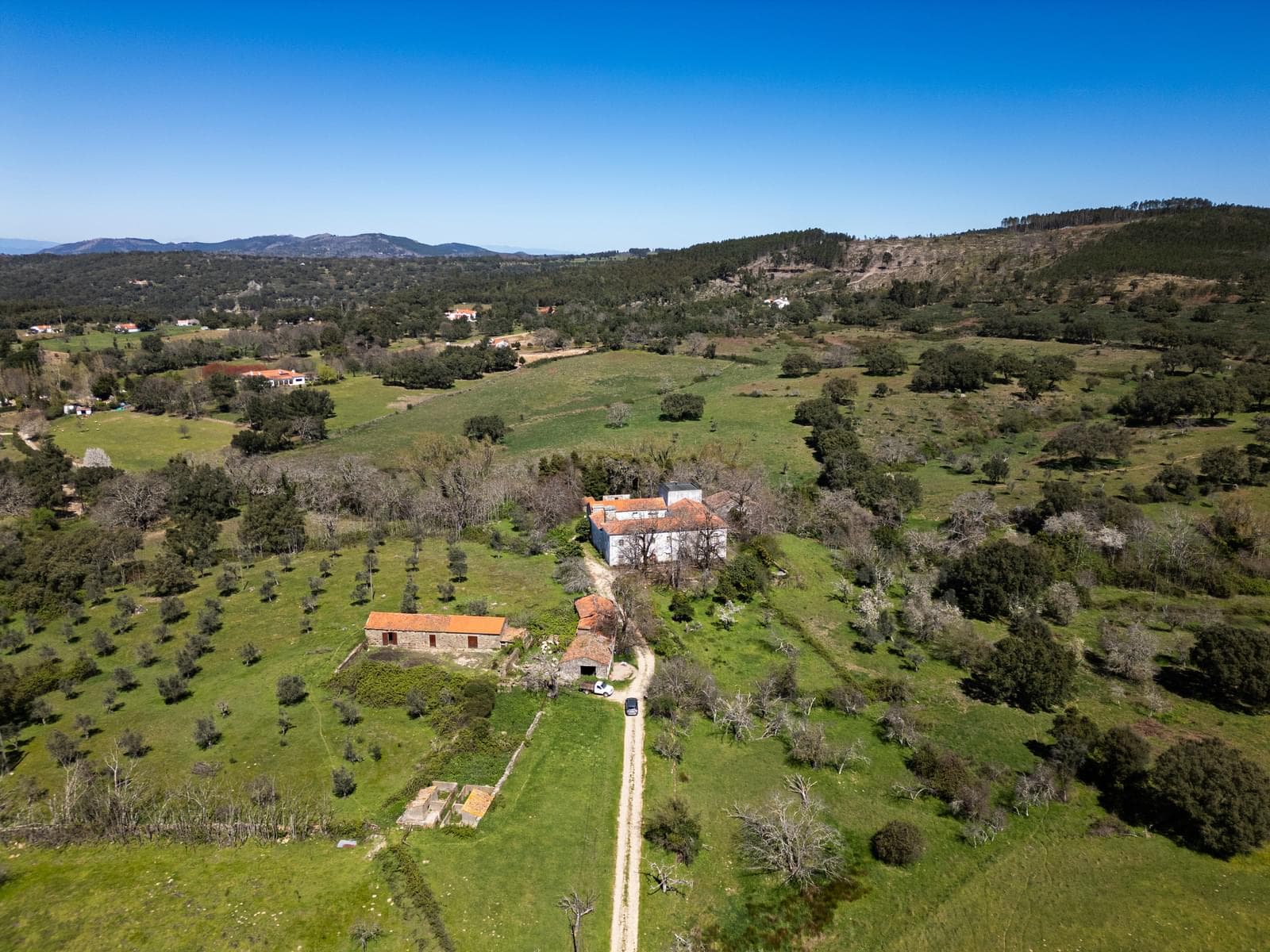 Quinta 103.2 ha, Portalegre - Imagem 2