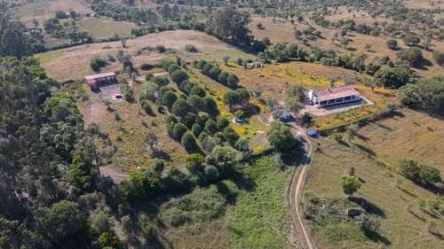 PF40264 - Ferme 1.5 ha, Santiago do Cacém, Santiago do Cacem - Image 38