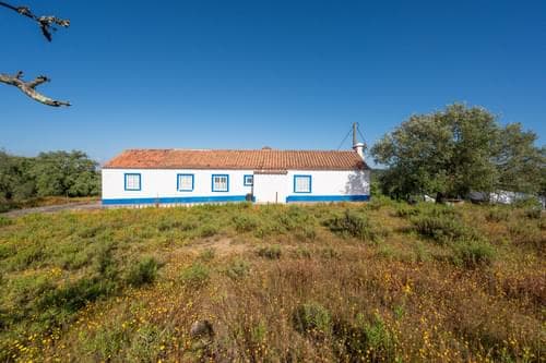 PF40264 - Ferme 1.5 ha, Santiago do Cacém, Santiago do Cacem - Image 27