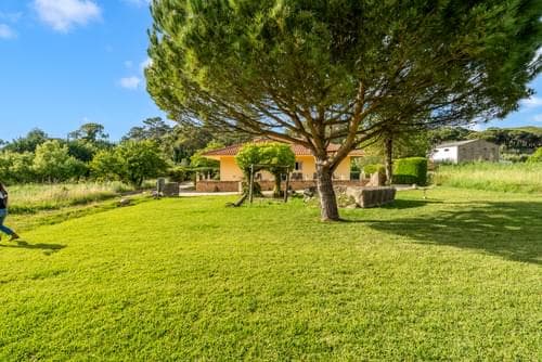 PF40273 - Herdade 1.4 ha, Mucifal, Sintra - Imagem 13