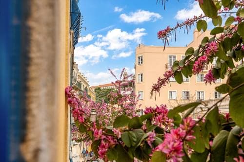 PF40283 - Apartamento T3 + 1, Castelo, Lisboa - Imagem 16