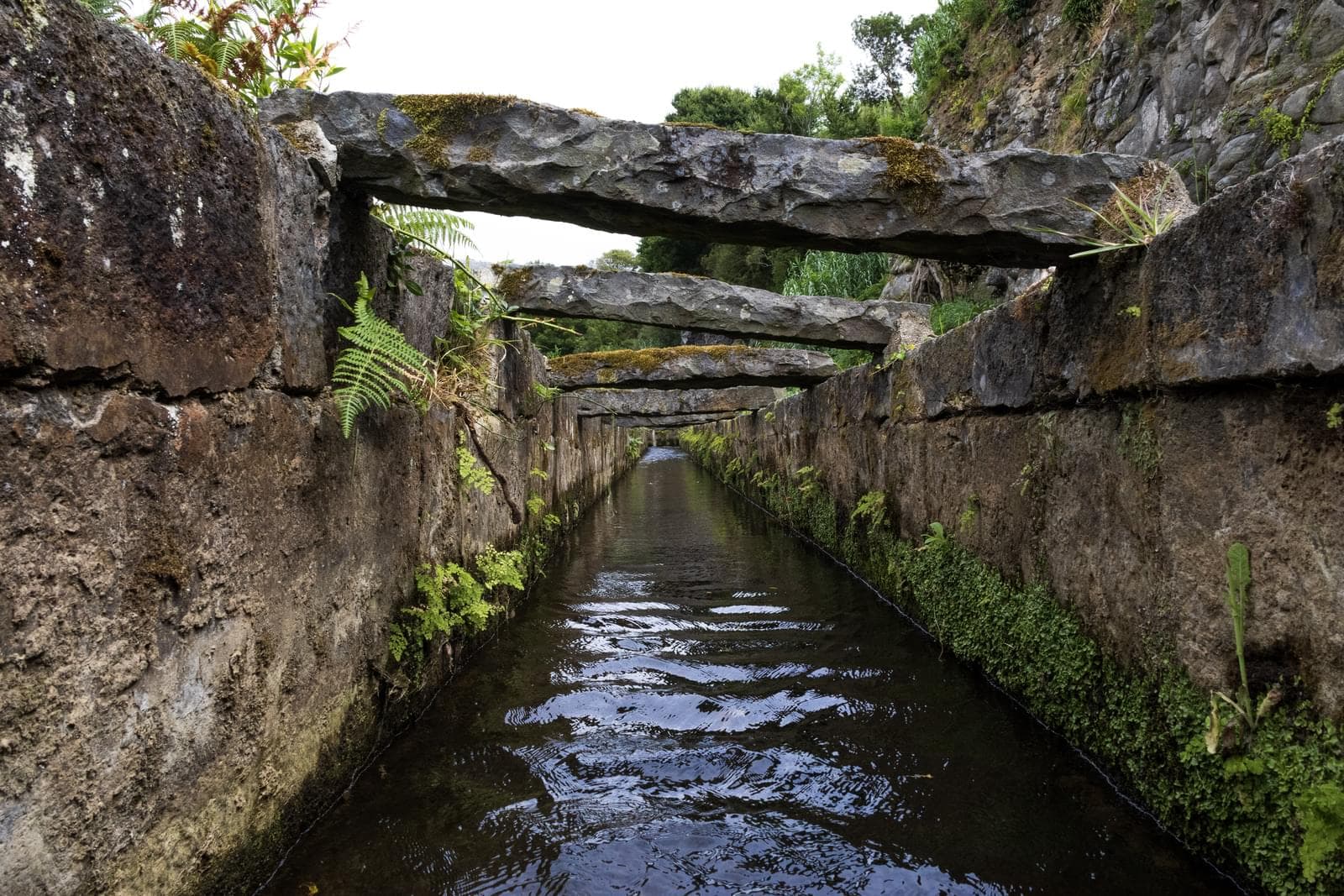 Mãe de Água - Ilha de São Miguel - Imagem 10
