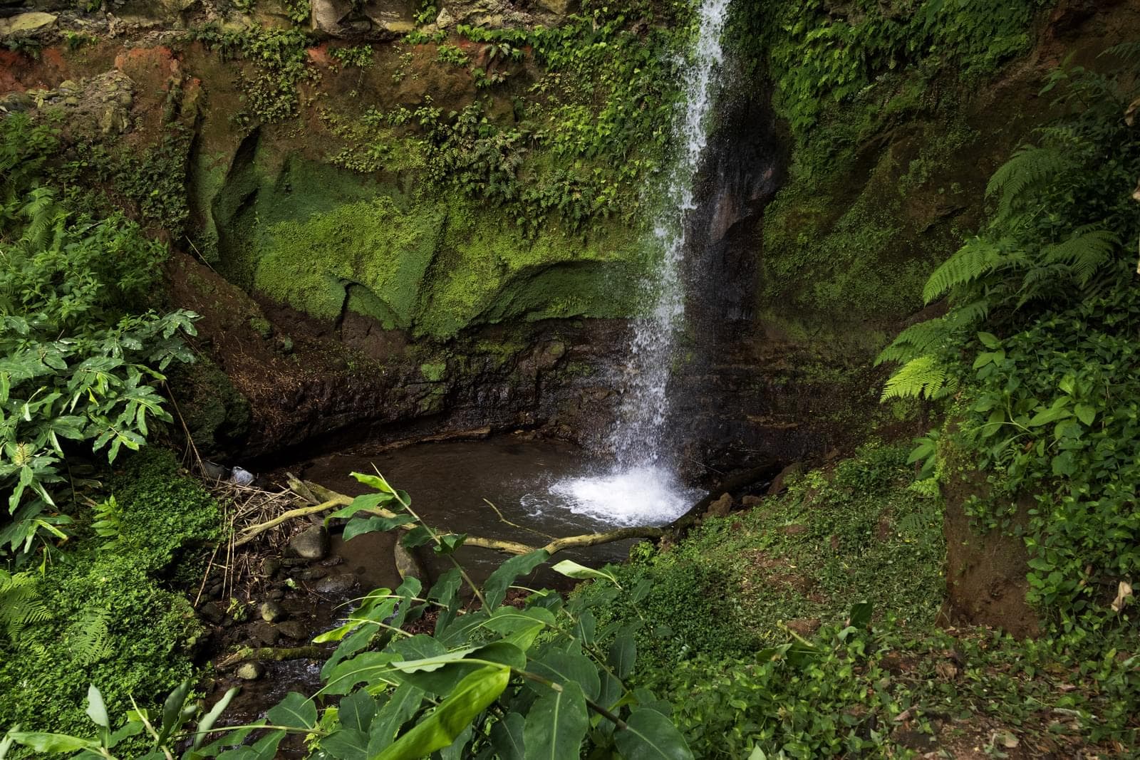 Mãe de Água - Ilha de São Miguel - Imagem 3