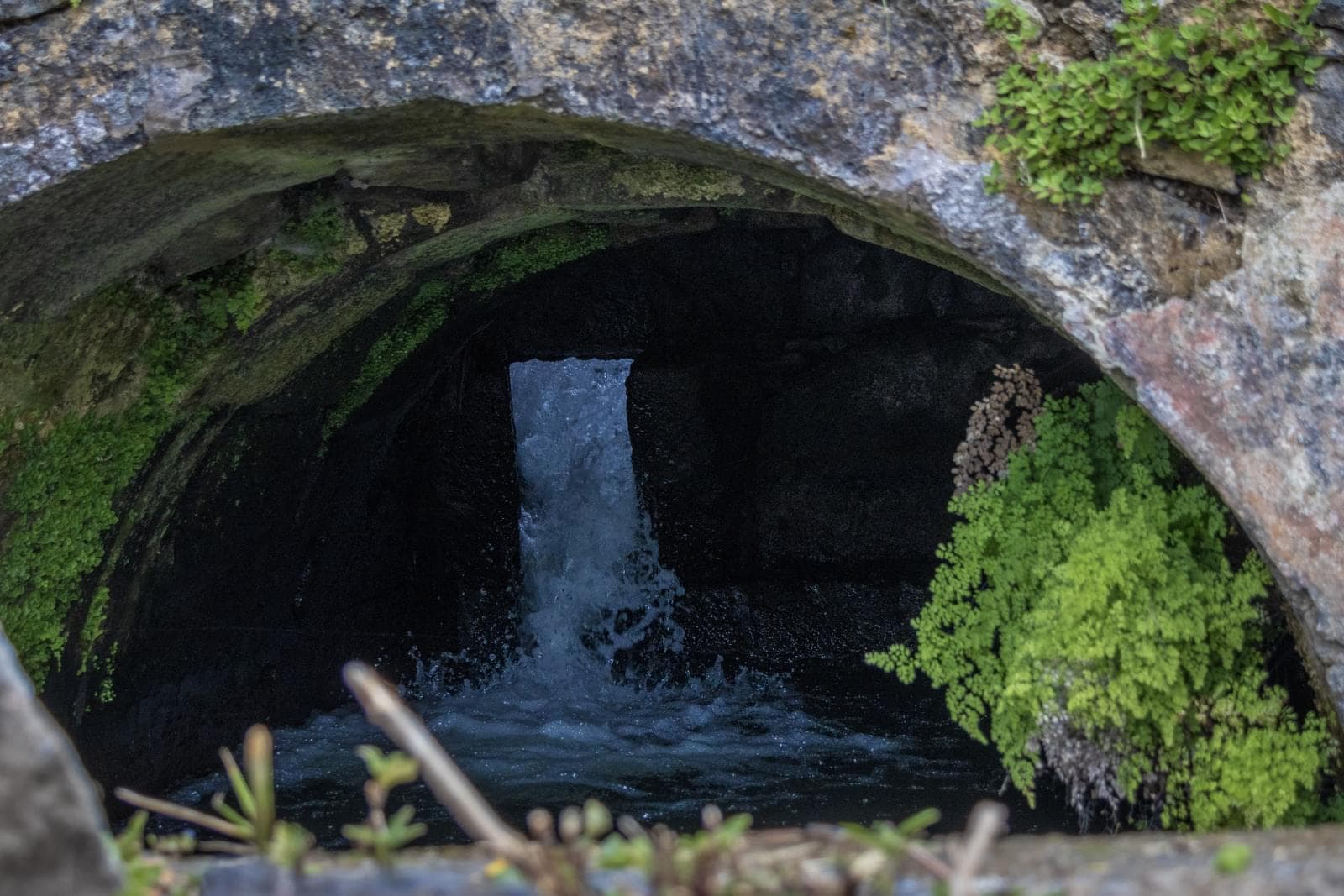 Mãe de Água - Ilha de São Miguel - Imagem 12