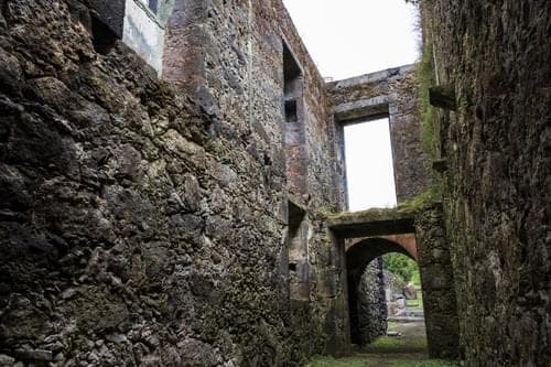 PF40342 - Mãe de Água - Ilha de São Miguel - Imagem 15