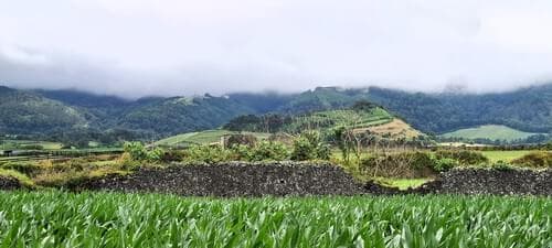 PF40342 - Mãe de Água - Ilha de São Miguel - Imagem 30