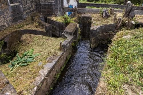 PF40342 - Mãe de Água - Ilha de São Miguel - Imagem 11