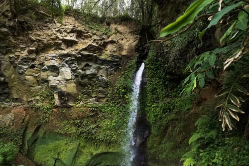 PF40342 - Mãe de Água - Ilha de São Miguel - Imagem 2
