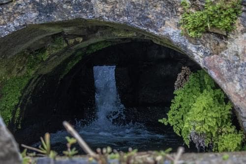 PF40342 - Mãe de Água - Ilha de São Miguel - Imagem 12
