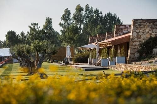 PF40519 - Quinta 7.5 ha, São Teotónio, Odemira - Imagem 6