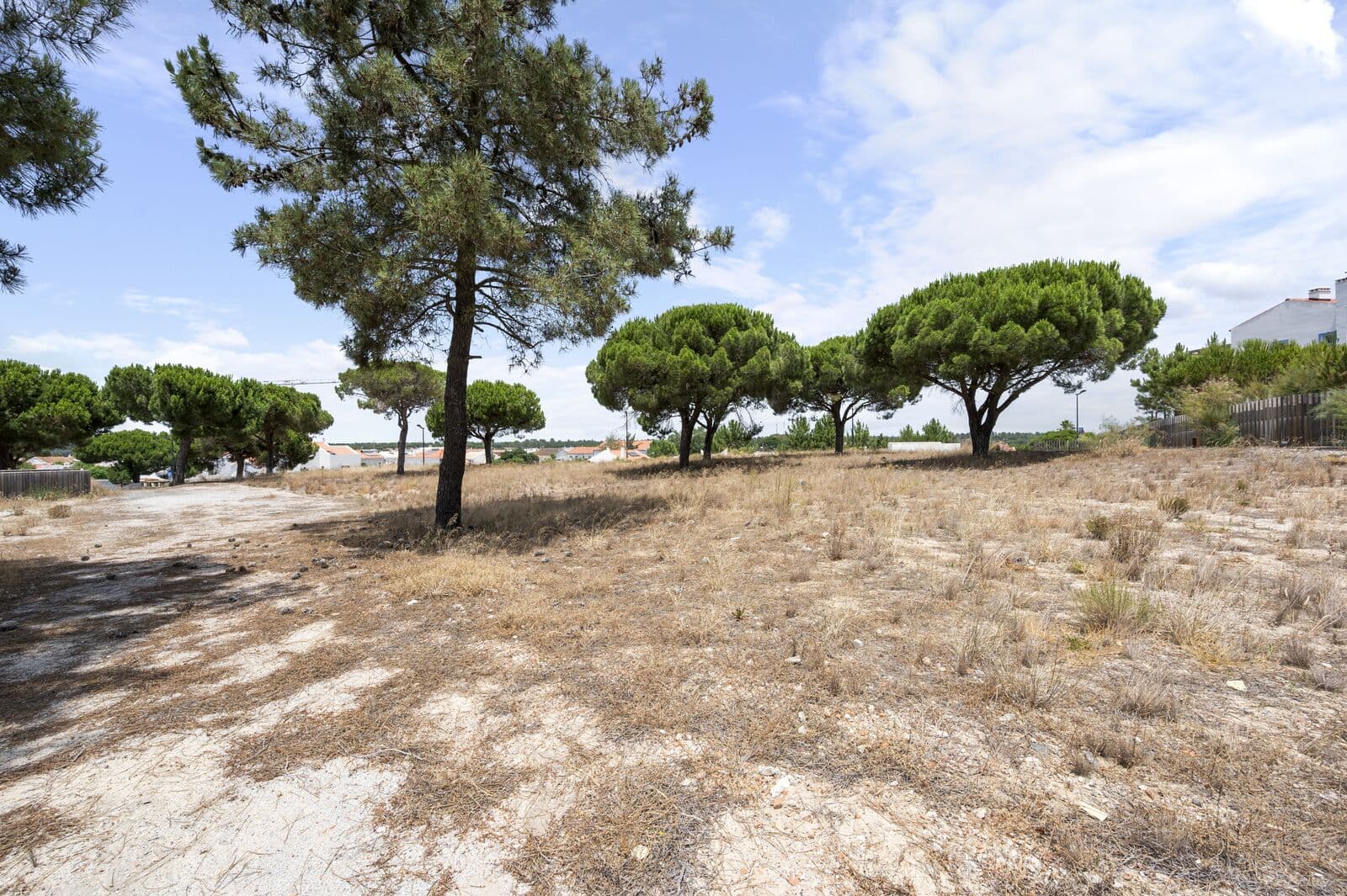 Lote 997 m2, Carvalhal, Grandola - Imagem 6