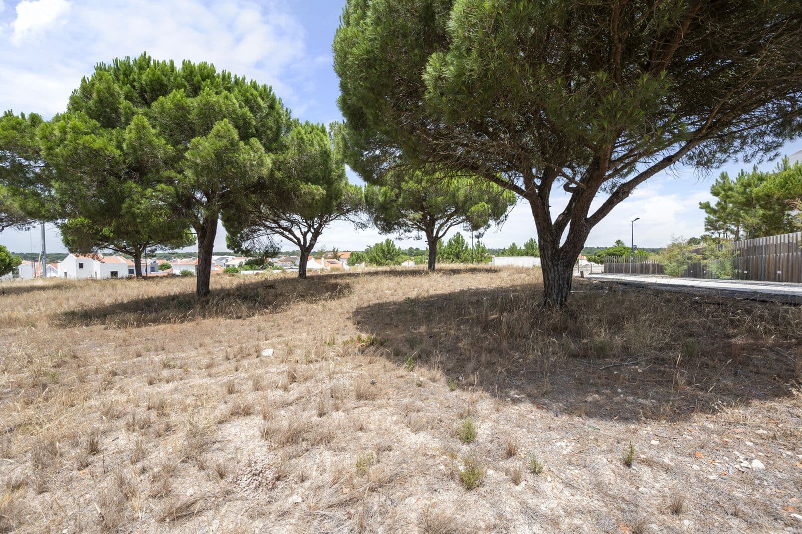 Lote 997 m2, Carvalhal, Grandola - Imagem 5