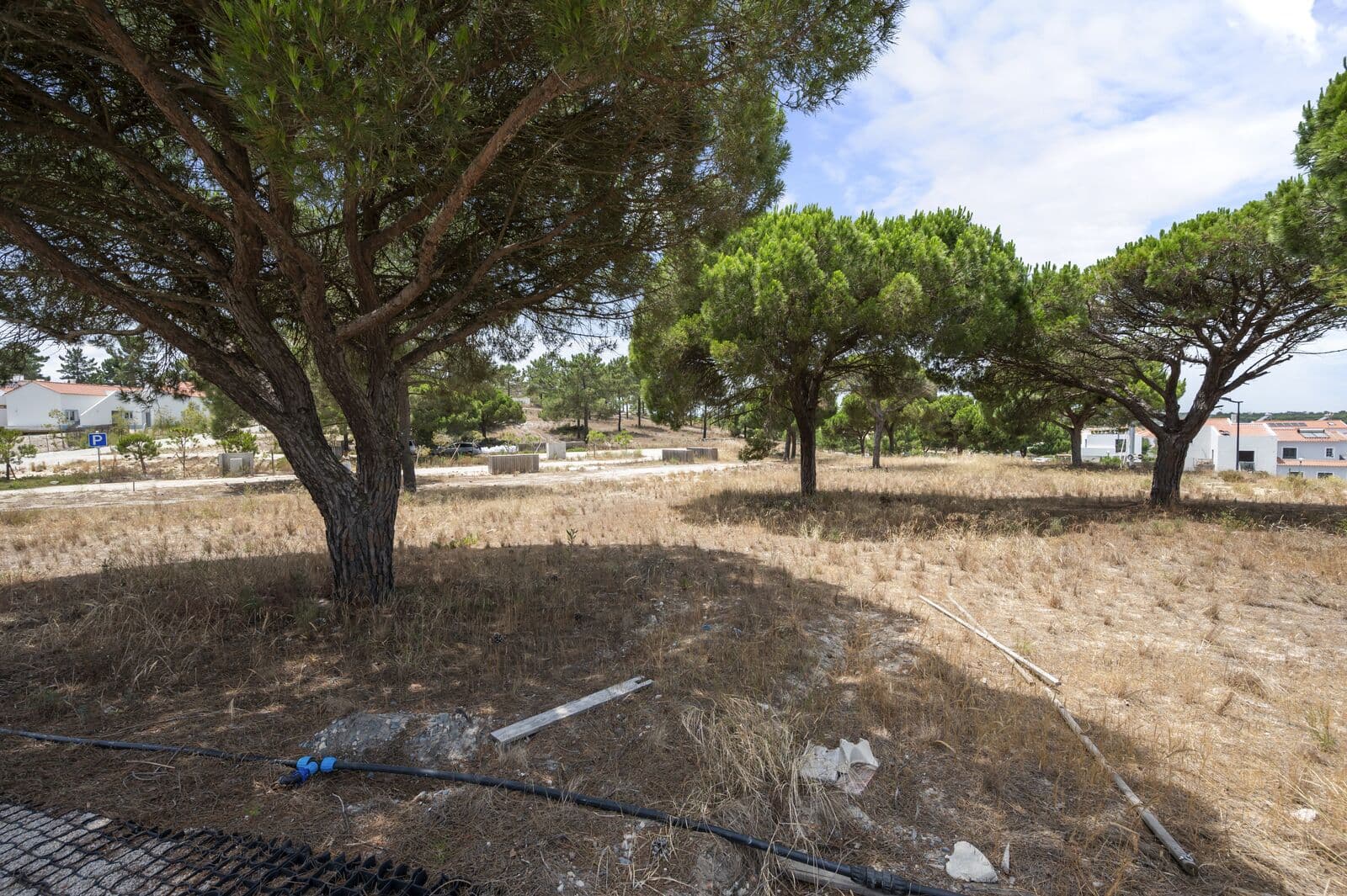 Lote 997 m2, Carvalhal, Grandola - Imagem 4