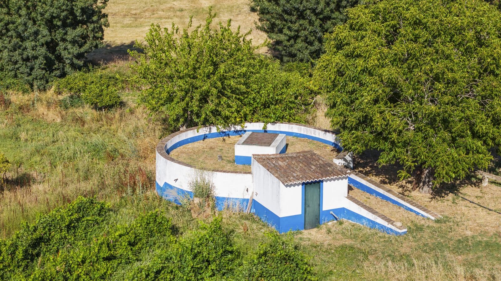 Quinta 13.9 ha, Alcáçovas, Viana do Alentejo - Imagem 69