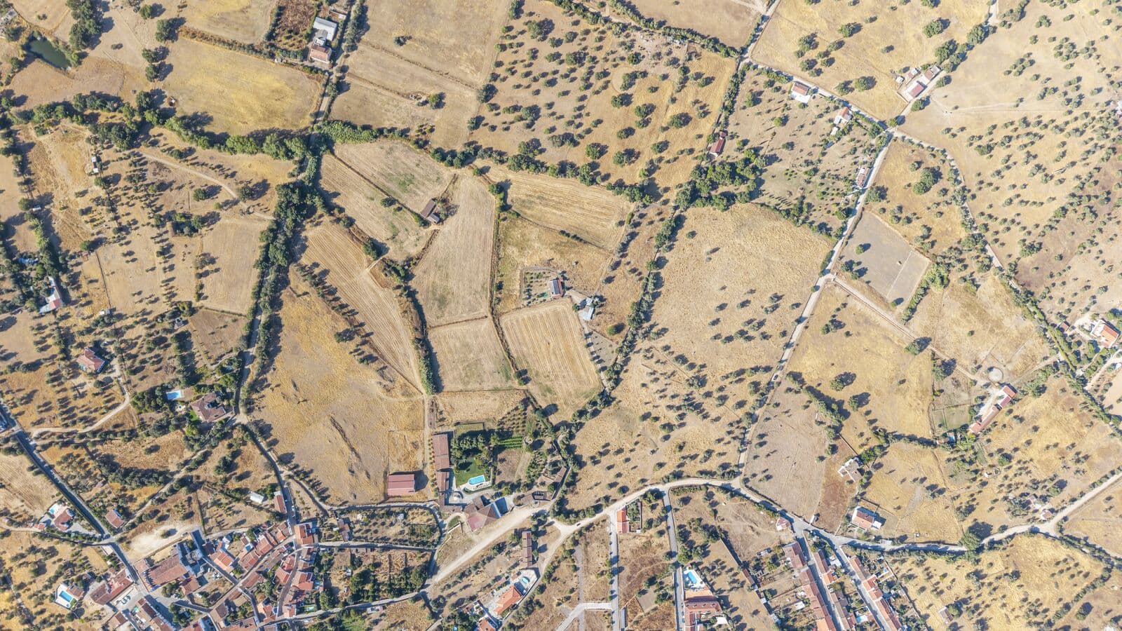 Quinta 13.9 ha, Alcáçovas, Viana do Alentejo - Imagem 75