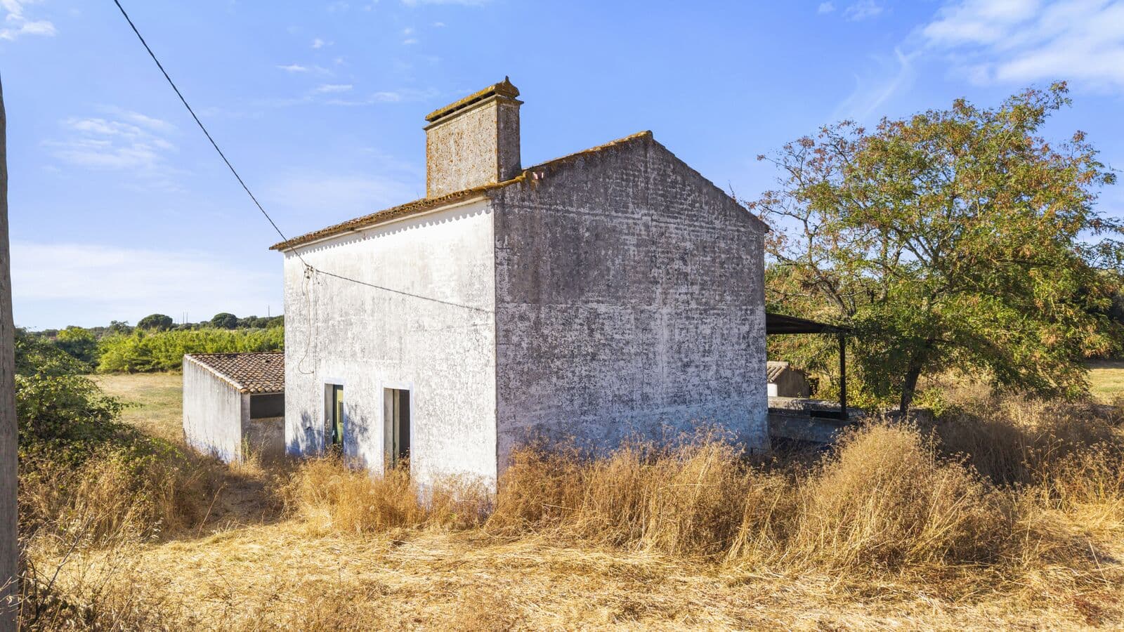Quinta 13.9 ha, Alcáçovas, Viana do Alentejo - Imagem 70