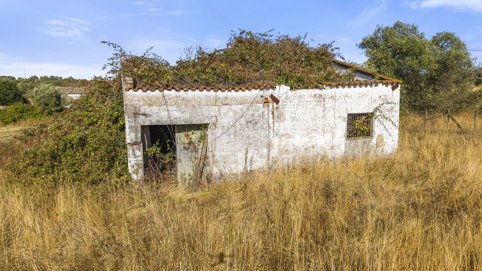 Quinta 13.9 ha, Alcáçovas, Viana do Alentejo - Imagem 73