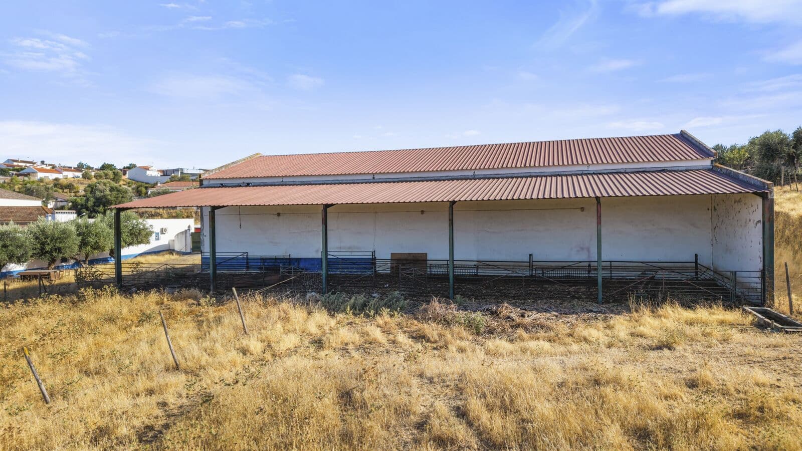 Quinta 13.9 ha, Alcáçovas, Viana do Alentejo - Imagem 74