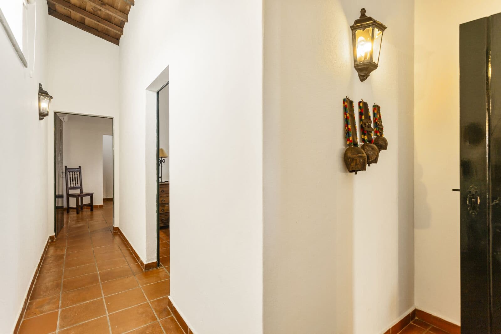 Quinta 13.9 ha, Alcáçovas, Viana do Alentejo - Imagem 23