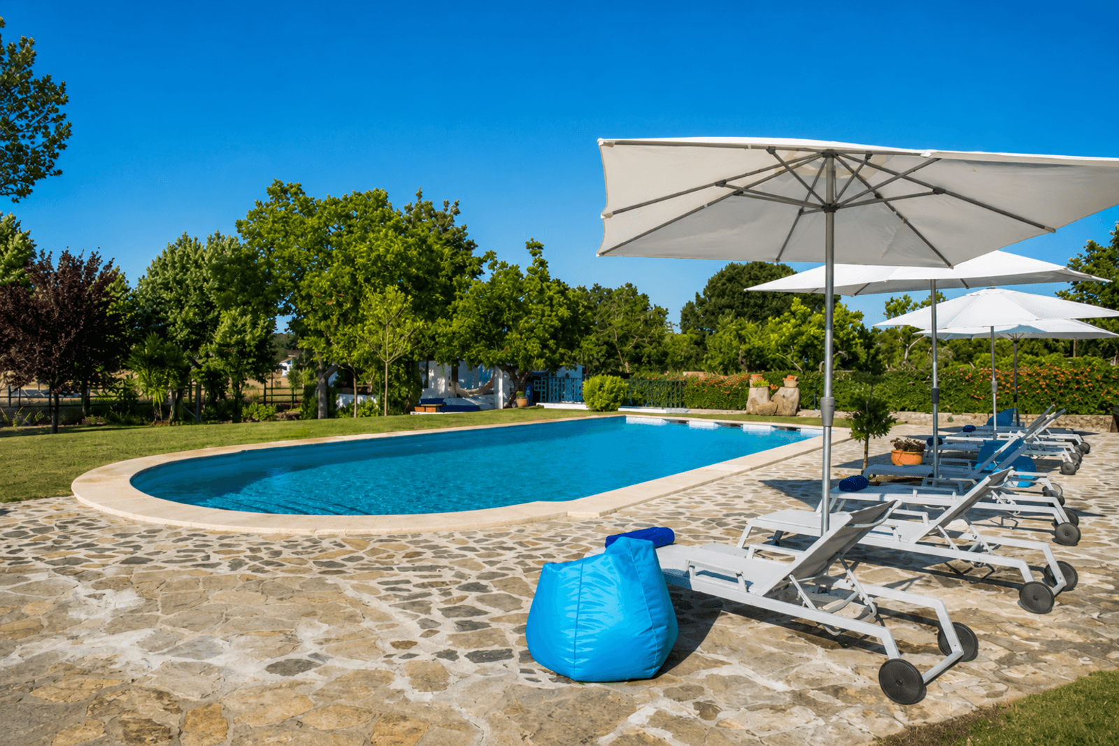 Quinta 13.9 ha, Alcáçovas, Viana do Alentejo - Imagem 58