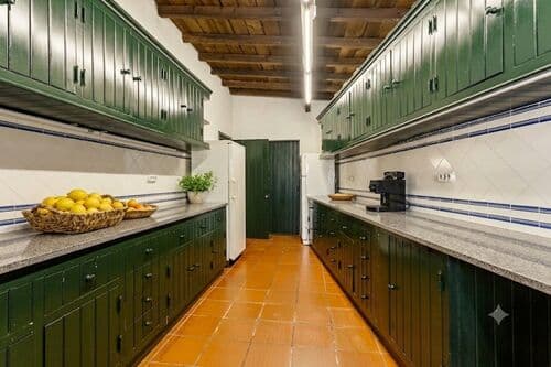 PF40756 - Ferme 13.9 ha, Alcáçovas, Viana do Alentejo - Image 13
