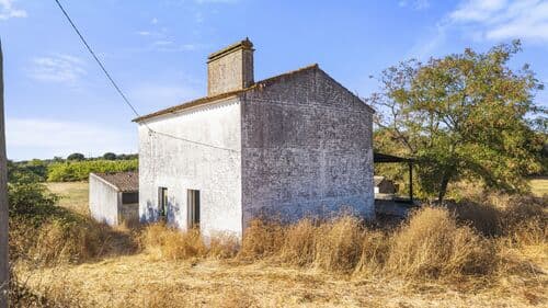 PF40756 - Ferme 13.9 ha, Alcáçovas, Viana do Alentejo - Image 70