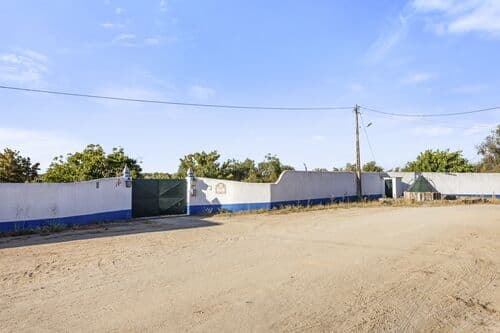 PF40756 - Ferme 13.9 ha, Alcáçovas, Viana do Alentejo - Image 67