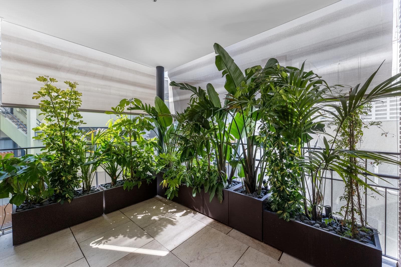 Apartamento T4 com terraço, Saldanha, Lisboa - Imagem 5