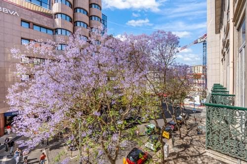 PF40777 - Bureau, Avenida da Liberdade, Lisboa - Image 26