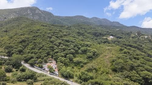 PF40785 - Moradia Isolada T4 com piscina, Azeitão, Setubal - Imagem 3