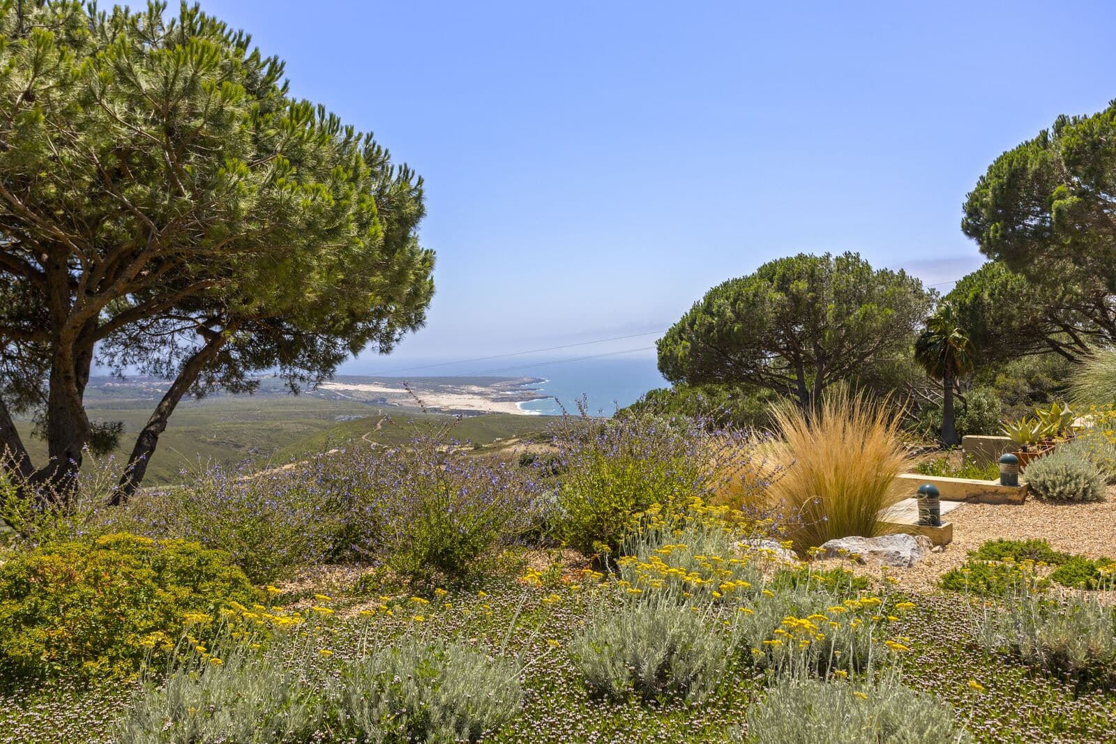 Quinta 1.7 ha, Malveira da Serra, Cascais - Imagem 19