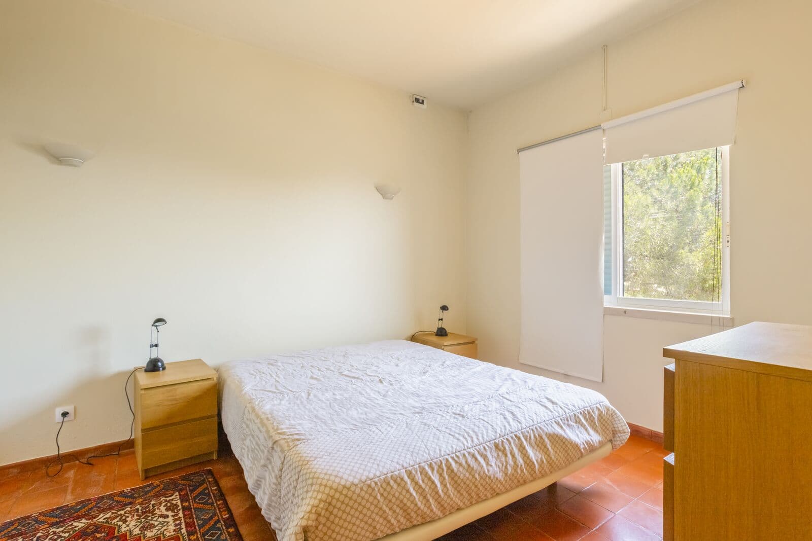 Quinta 1.7 ha, Malveira da Serra, Cascais - Imagem 44