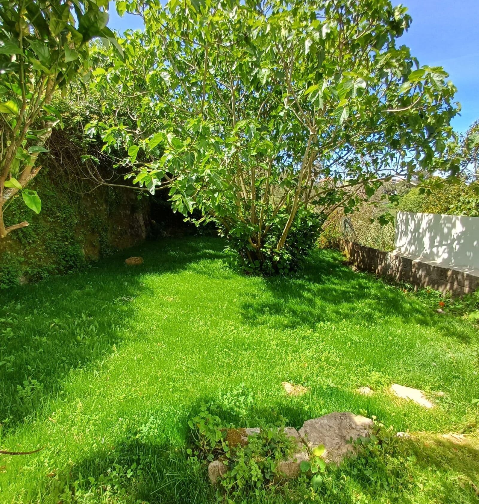 Appartement 5 pièces avec jardin, Sintra - Image 6