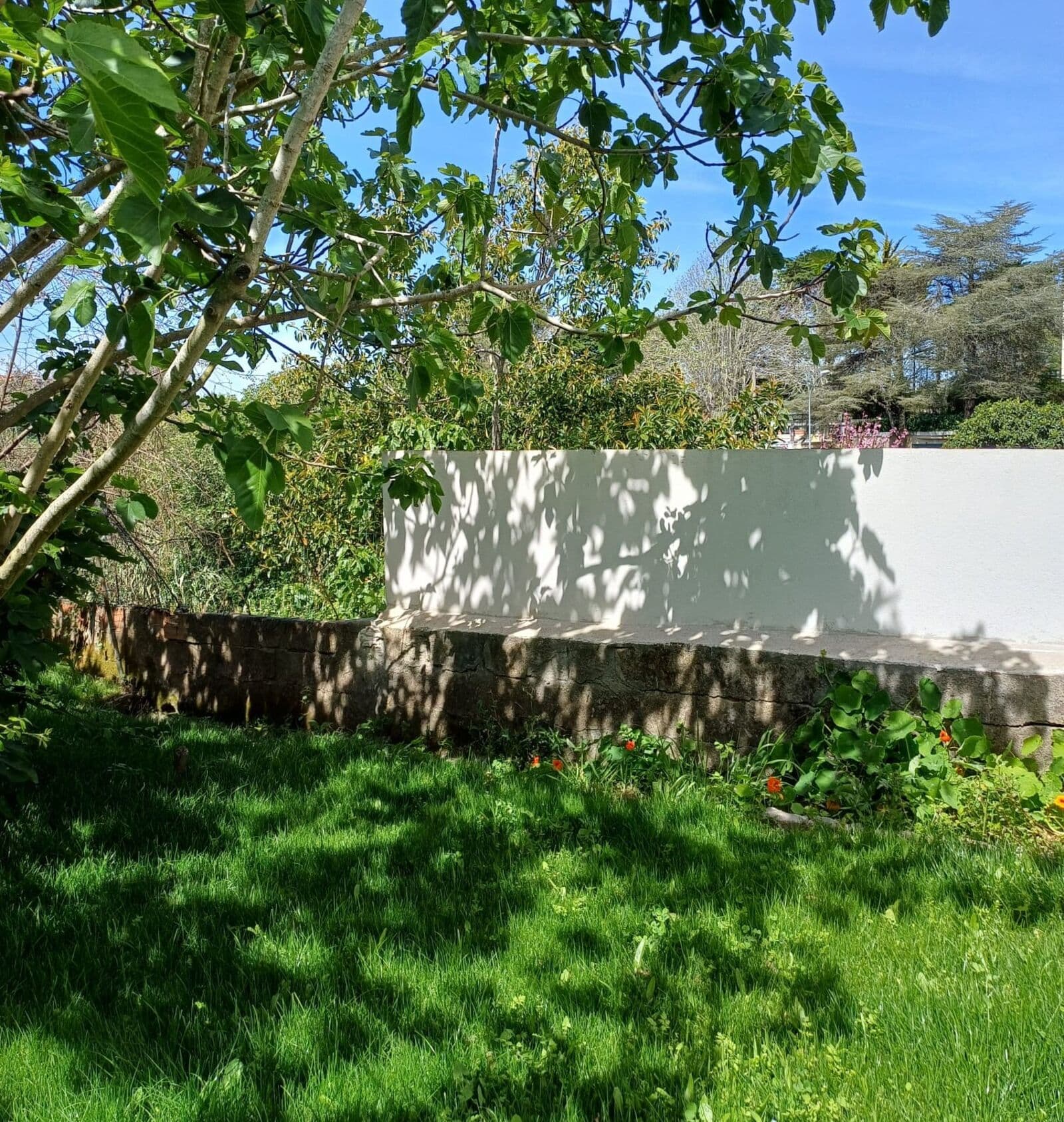 Appartement 5 pièces avec jardin, Sintra - Image 26