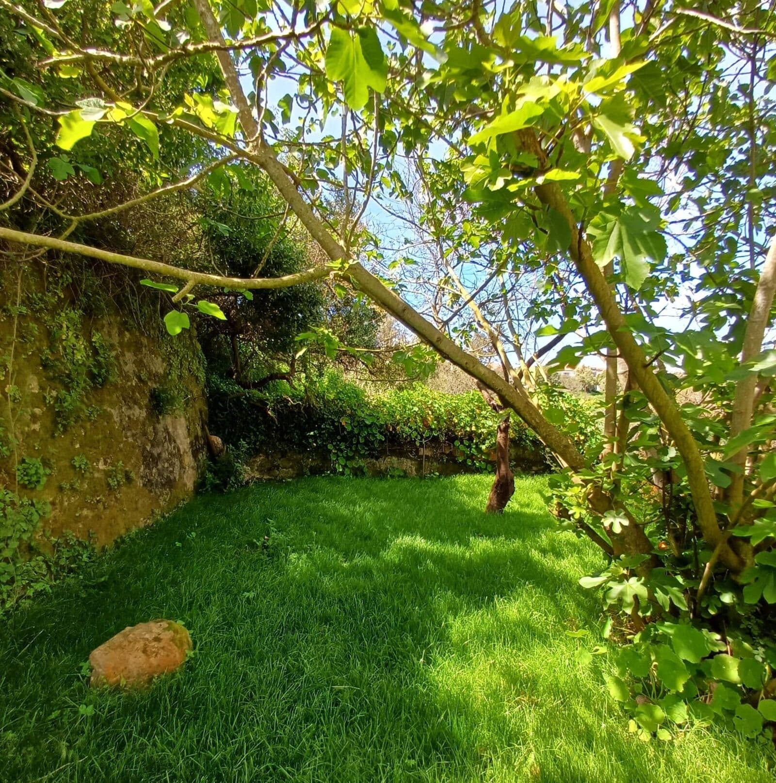 Appartement 5 pièces avec jardin, Sintra - Image 27