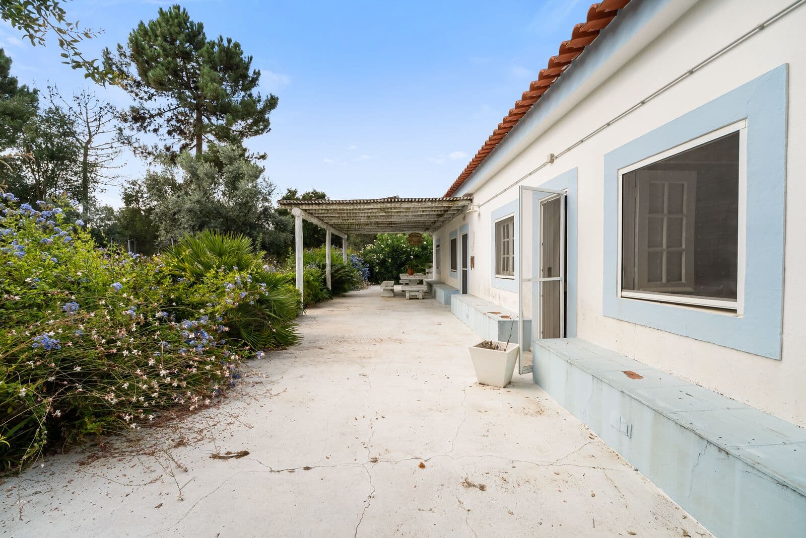 Ferme 4.6 ha, Melides, Grandola - Image 4