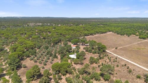 PF40998 - Quinta 4.6 ha, Melides, Grandola - Imagem 6