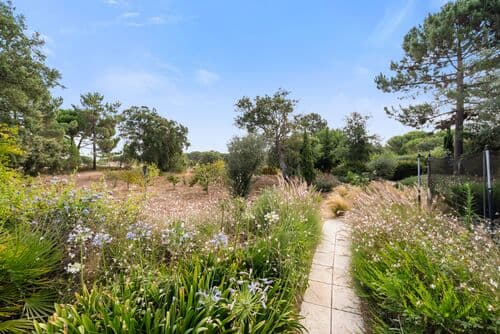 PF40998 - Quinta 4.6 ha, Melides, Grandola - Imagem 34