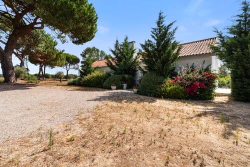 PF40998 - Quinta 4.6 ha, Melides, Grandola - Imagem 38