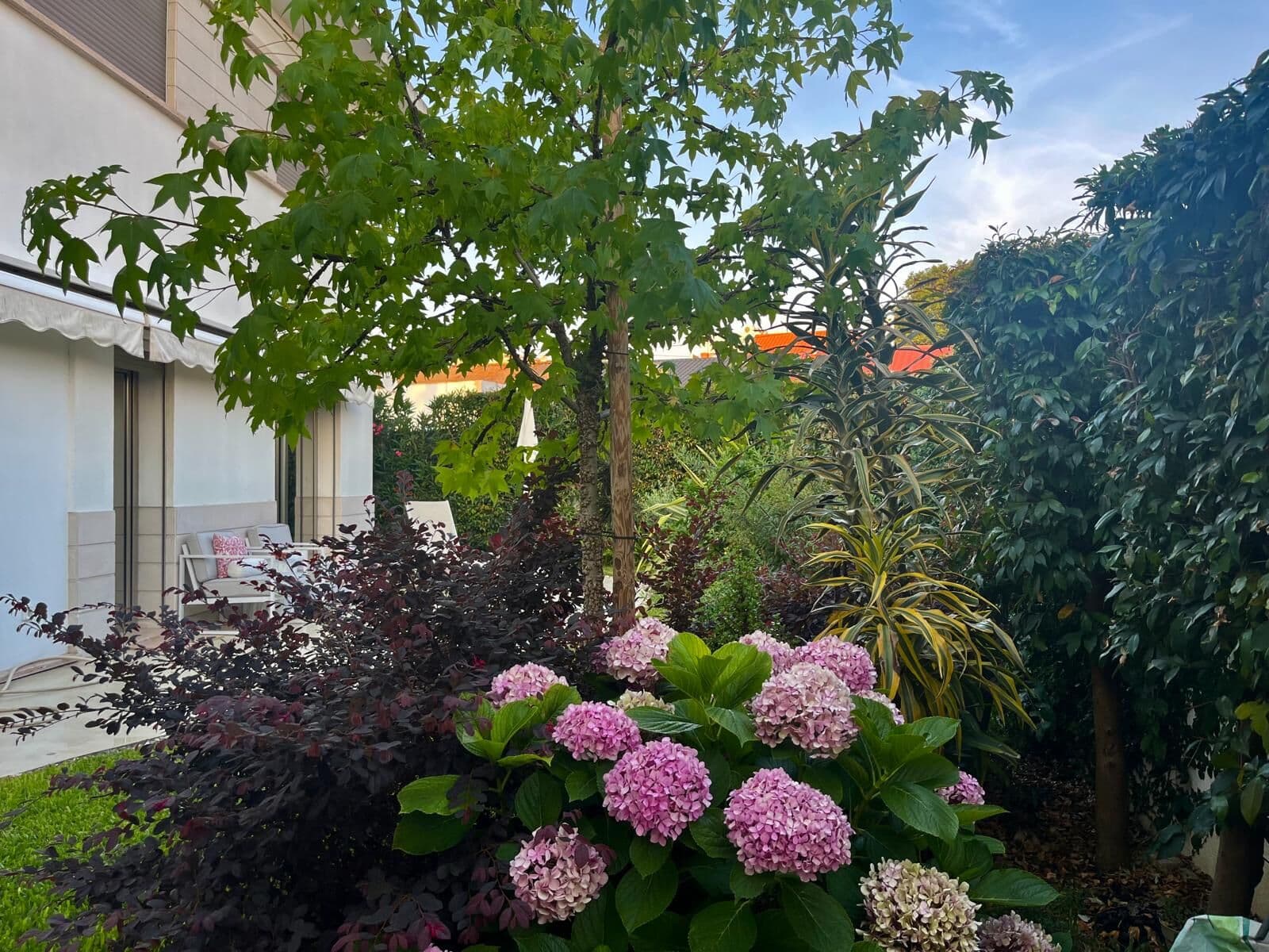 Maison isolée 4 + 1 pièces avec jardin, Alvide, Cascais - Image 33